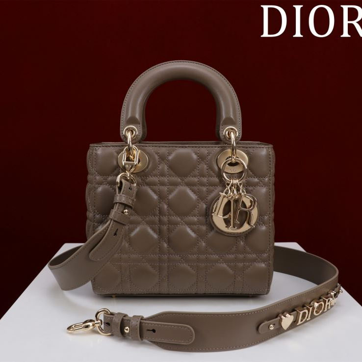 chr1st1an D10r my lady bags
